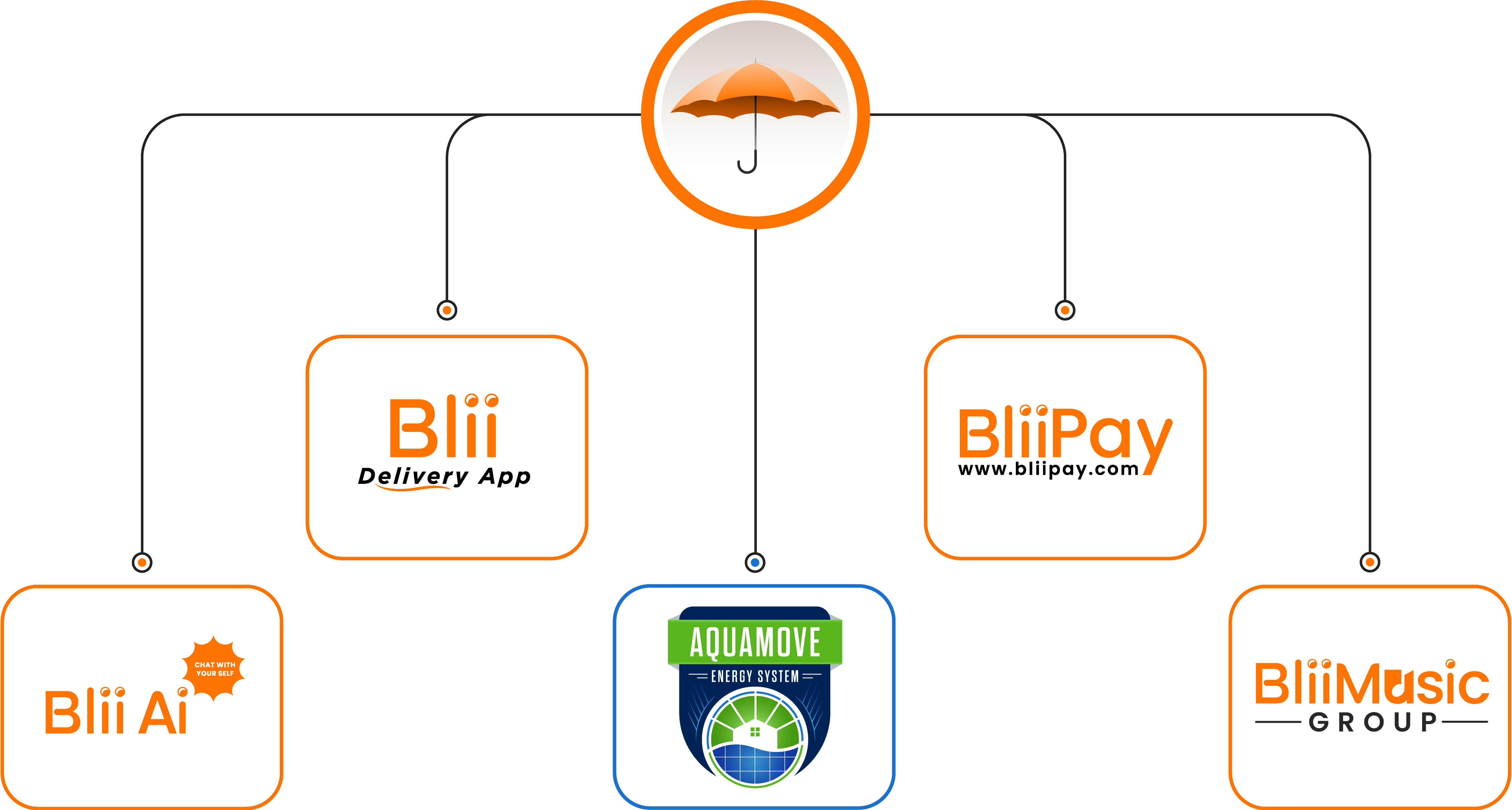 Camcorp Company Infographic